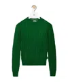 Loewe Crew Neck Long Sleeve Sweater In Green