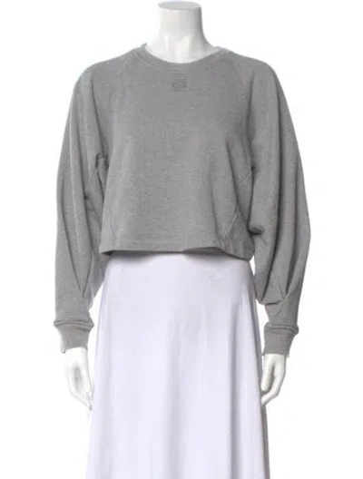 Pre-owned Loewe Crew Neck Long Sleeve Sweatshirt In Gray