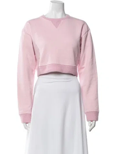 Pre-owned Loewe Crew Neck Long Sleeve Sweatshirt In Pink