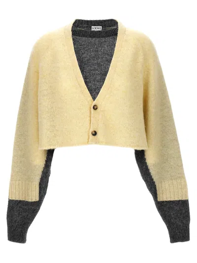 Loewe Crop Cardigan Sweater, Cardigans Multicolor In Gold