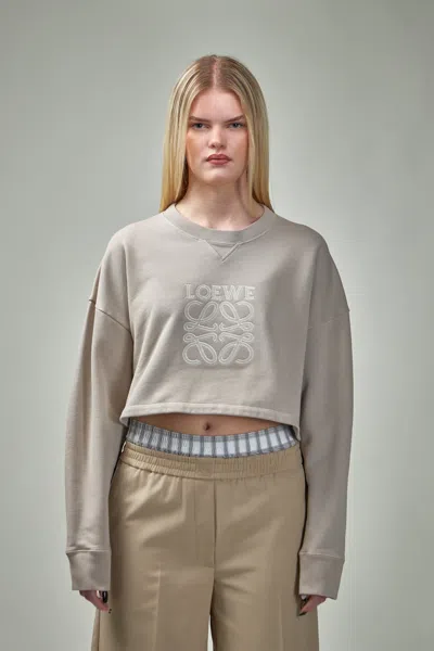 Loewe Cropped Sweatshirt In Brown