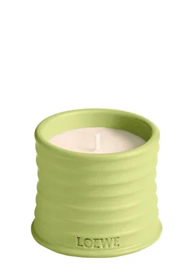 Loewe Cucumber Candle In Green