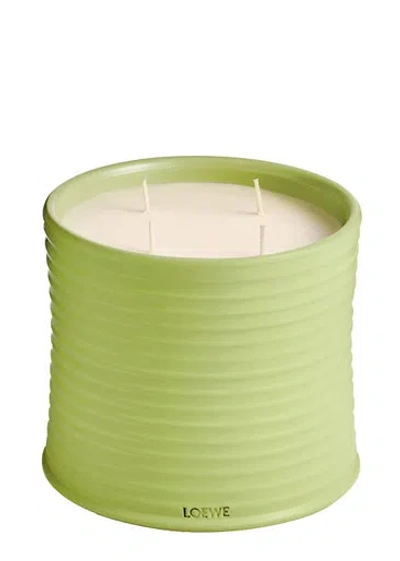 Loewe Cucumber Candle In Green
