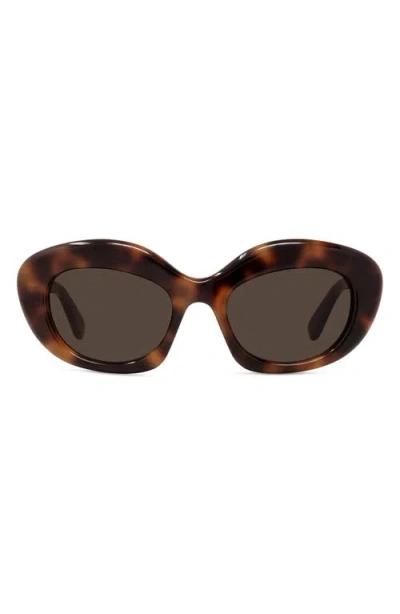 Loewe Curvy 51mm Cat Sunglasses In Brown