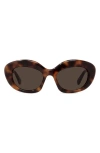 Loewe Curvy 51mm Cat Sunglasses In Dark Havana/brown