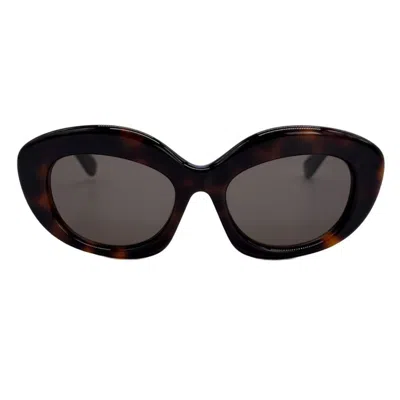 Loewe Curvy Brown Cat Eye Ladies Sunglasses Lw40153f 52e 54