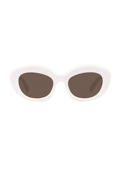 Loewe Curvy Sunglasses In Pink