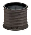 Loewe Dendrochilum Orchid Candle