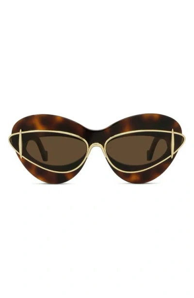 Loewe Double Frame 67mm Oversize Cat Eye Sunglasses In Brown