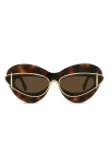 Loewe Double Frame 67mm Oversize Cat Eye Sunglasses In Dark Havana/brown