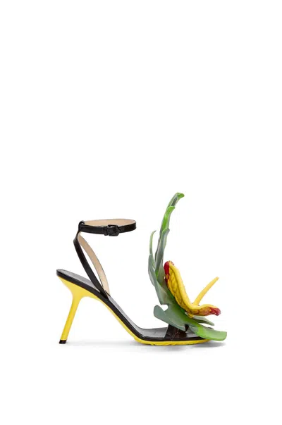 Loewe Elegant Petal Sandals For Women In Black