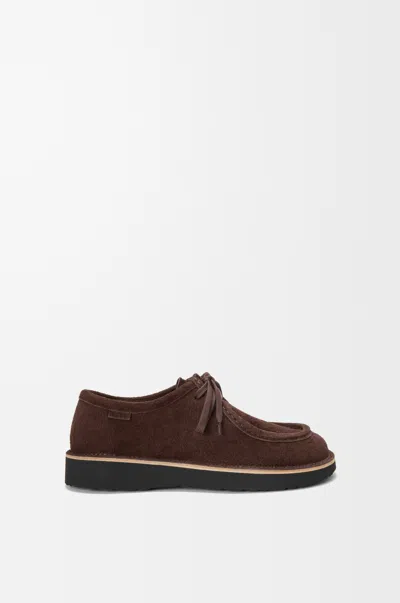 Loewe Faro Lace-up Shoes In Suede Calfskin In Burgundy