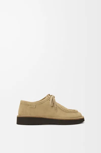 Loewe Faro Lace Up Shoes In Suede Calfskin In Brown