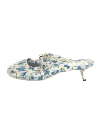 Pre-owned Loewe Floral Print Mules In Blue