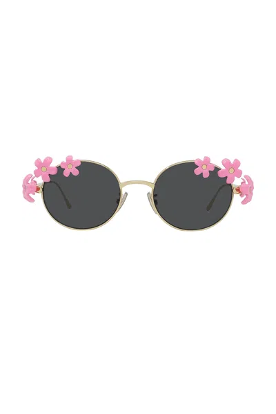 Loewe Flowers Round Sunglasses