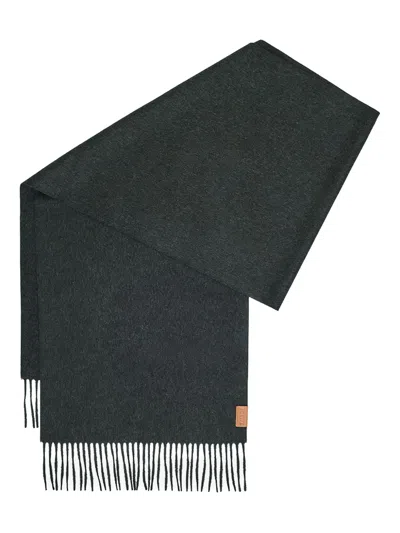 Loewe Fringed Cashmere Scarf In Gray