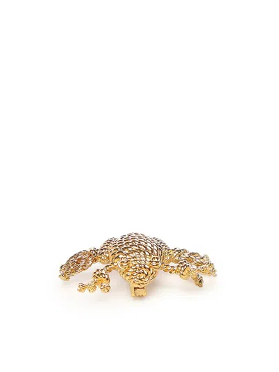 Loewe Frog Brooch In Brown