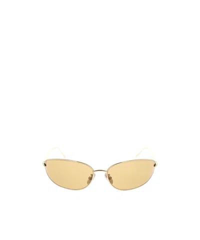 Loewe Full Frame Sunglasses In Brown