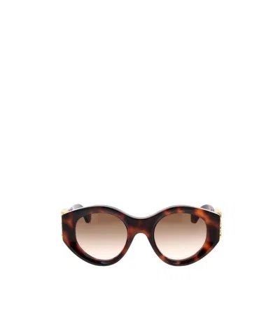 Loewe Full Frame Sunglasses In Brown