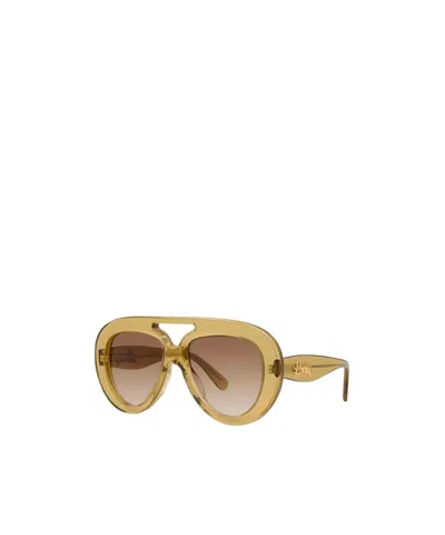 Loewe Full Frame Sunglasses In Nude