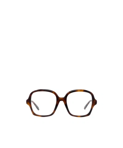 Loewe Lw50070i052 - Havana