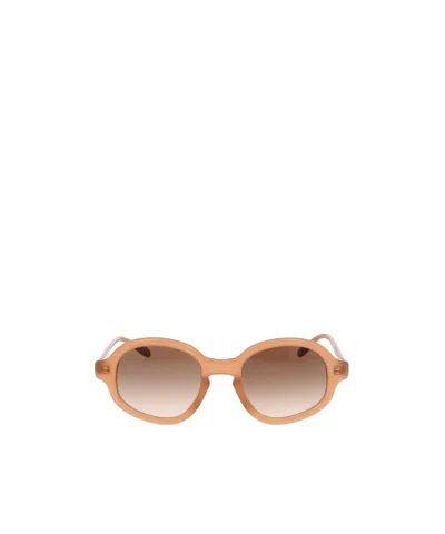 Loewe Full Frame Sunglasses In Brown