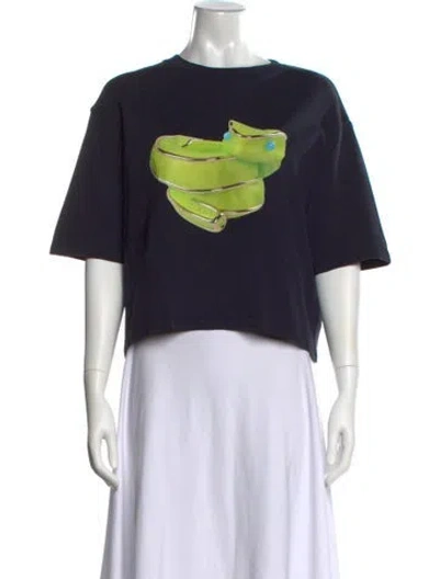 Pre-owned Loewe Graphic Print Crew Neck T-shirt In Blue