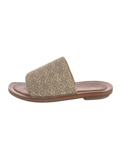 Pre-owned Loewe Graphic Print Slides In Green/neutrals