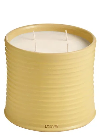 Loewe Honeysuckle Candle In Burgundy