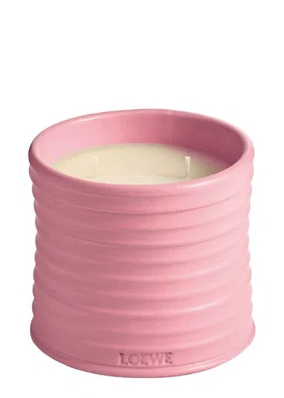 Loewe Ivy Candle In Pink