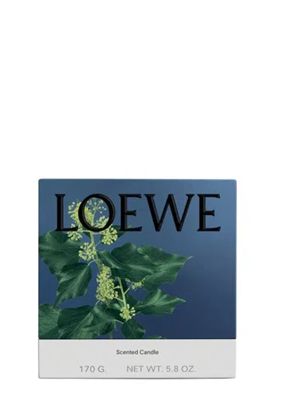 Loewe Ivy Candle In Blue