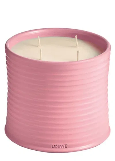 Loewe Ivy Candle In Pink