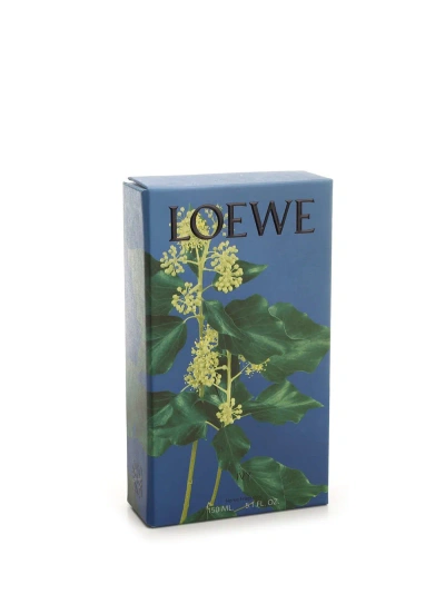 Loewe Ivy-scented Home Fragrance In Rose