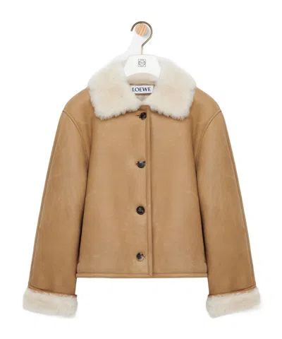 Loewe Jacket In Shearling