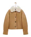 Loewe Jacket S359y2sl36 Camel In Brown
