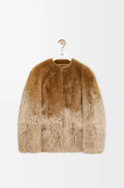 Loewe Degrade Lamb Shearling Collarless Jacket In Multi