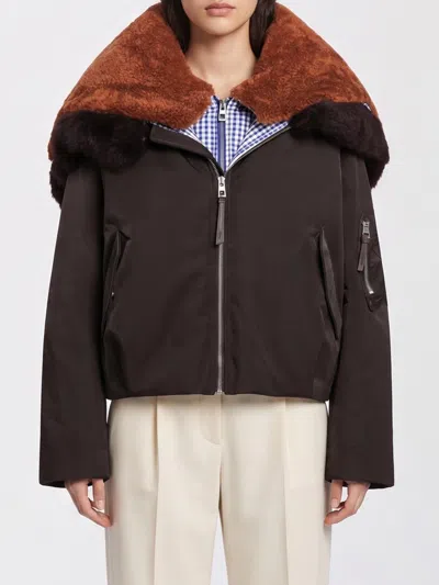 Loewe Jacket Woman Color Brown