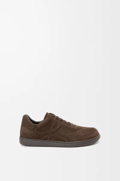 Loewe Jambo Sneaker In Suede Calfskin In Brown