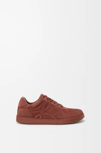 Loewe Jambo Lace-up Fastening Sneakers In Multi