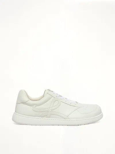 LOEWE JAMBO SNEAKER