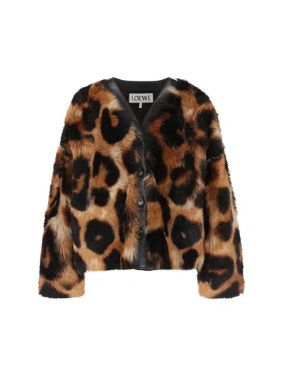 Loewe Leopard-print Shearling Jacket In Brown