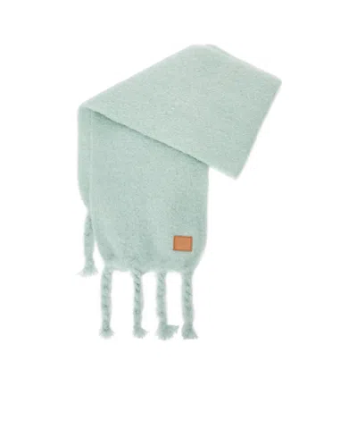 Loewe Knitting Tassel Scarf In Green