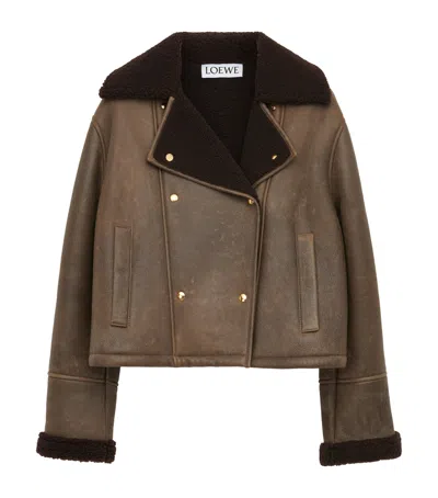 Loewe Lambskin Shearling-collar Aviator Jacket In Brown