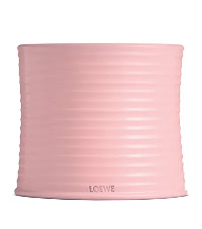Loewe Large Ivy Candle In Pink