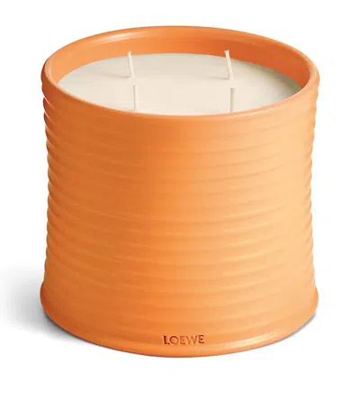 LOEWE LARGE ORANGE BLOSSOM CANDLE