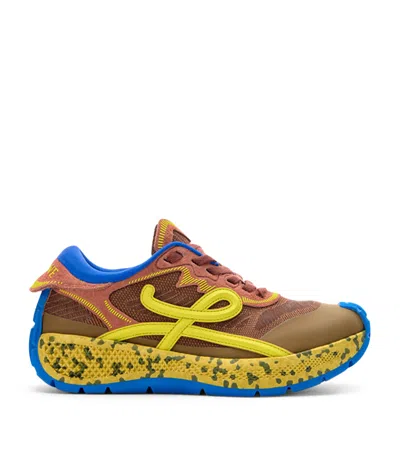 Loewe Leather Pogo Sneakers In Brown