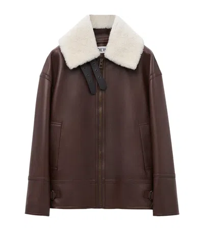 Loewe Leather Shearling-collar Aviator Jacket In Brown
