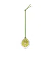 Loewe Lime Charm In Classic Calfskin In Green
