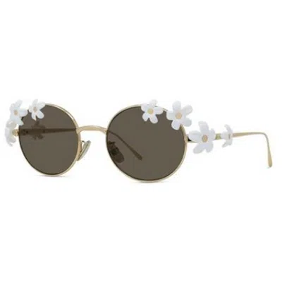 Loewe Signature Lw40173u 30e In Brown