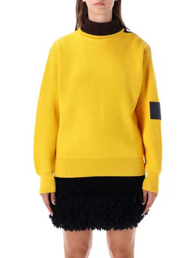 Loewe Wool Zipped Sweater In Yellow
